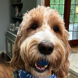 Meet your Posher, Mckenna